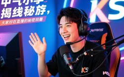 ks平台24小时人气直播自助入口网址