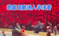 向鹏力克雨果，挺进中国大满贯四强