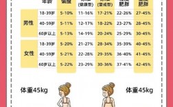 如何准确测量体脂率，掌握科学方法与技巧