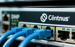 CentOS系统重新配置DHCP客户端获取IP地址