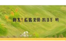 CentOS PPTPD端口配置正确后为何无法连接？30字长尾疑问标题，CentOS PPTPD端口设置疑问，连接失败原因解析