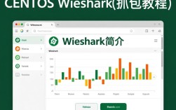 CentOS系统下使用Wireshark抓包，具体操作步骤和注意事项有哪些？