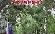 贵州避暑买房意外事故，女子被树砸致1死2伤