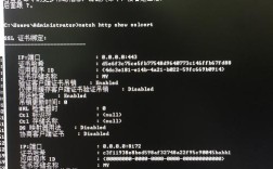 IIS证书错误解决攻略，轻松应对缺失证书报错