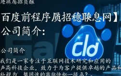 百度前程序员招聘信息网揭秘，百度离职程序员就业去向与招聘标准？