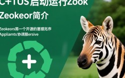CentOS环境下如何启动并运行Zookeeper服务？