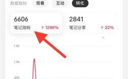 小红书涨粉数据解读指南