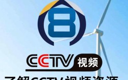 轻松下载CCTV视频教程
