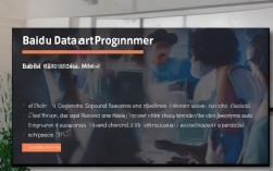 百度数据程序员招聘，具体要求是什么？哪些技能是必备的？