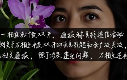 万相兰因迷信活动被双开，通报揭露其违纪行为