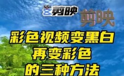 视频人物一键变黑技巧揭秘