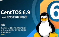 CentOS 6.9 系统下，JDK版本升级到最新是否兼容？有何风险与挑战？
