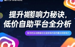 抖音粉丝一键涨粉平台，一元1000赞，24小时秒到账服务