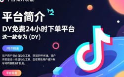 探索dy免费24小时下单平台，使用指南揭秘，DY免费24小时自助下单平台使用指南全解析