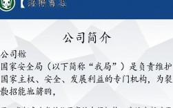 2026年国家安全局程序员招聘，有哪些岗位和条件要求？长尾疑问标题，揭秘国家安全局程序员招聘之谜，岗位与条件揭秘！