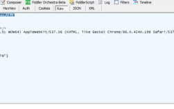 JMeter 500错误处理机制，测试中隐匿的异常处理之谜