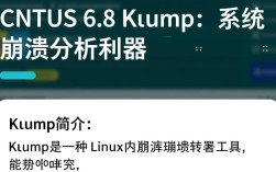 CentOS 6.8 Kdump 实施指南