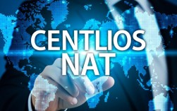 CentOS VM NAT模式下配置有何难点，与桥接模式有何区别？
