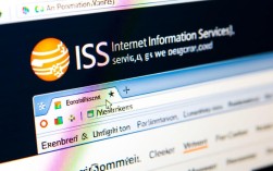 IIS报错页面乱码处理指南