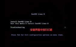 CentOS 7安装与使用指南，从入门到精通