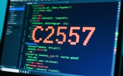 C2557错误排查与解决指南