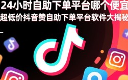 抖音赞24小时超低价自助下单平台，性价比之王揭秘！