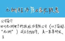四川九洲程序员招聘，薪资待遇如何？岗位要求是什么？