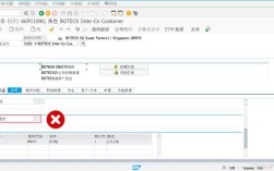 如何解决SAP报错BDC问题？常见原因及处理方法
