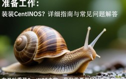 蜗牛服务器重装CentOS系统时遇到哪些常见问题及解决方法？