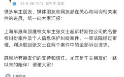 特斯拉车顶维权车主数据隐私案终获胜诉