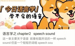 如何有效解决Speech应用中遇到的报错问题？