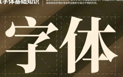 如何准确辨别不同字体，专业技巧与实用指南揭秘