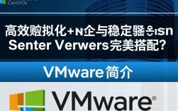 VMware与CentOS，如何选择最佳的虚拟化与操作系统组合？