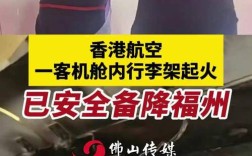 飞机上心系家中鸡蛋，旅客担忧忘关火