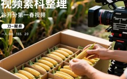 如何制作精彩的谷子开箱视频剪辑教程？30招必学技巧揭秘