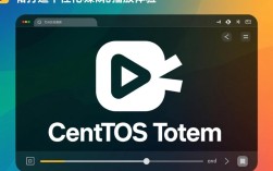 CentOS Totem 插件安装与配置过程中可能遇到哪些常见问题？