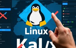 Kali Linux安装故障排查与解决攻略