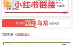 电脑小红书素材下载指南