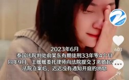 王暖暖离婚需等至70岁，程序限制引发关注