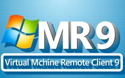 vmr9报错究竟原因是什么？30个常见问题解答解析