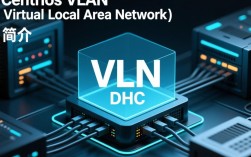 CentOS下VLAN与DHCP配置指南