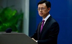 中国外交部就两名中国人在日被打重伤事件表态