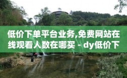 DY平台低价下单与24小时自动下单功能对比解析