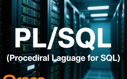 PL/SQL运行时遇到错误12514，究竟是什么原因导致的？