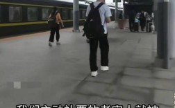 高铁超员被要求补票，女子带4娃仅购1票引关注