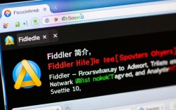 Fiddler接口报错，是客户端问题还是服务器端？定位错误源头，关键点在哪里？