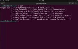 在 CentOS 系统中启用外网 SSH 访问的步骤指南
