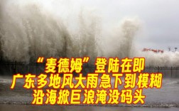 麦德姆登陆，狂风暴雨肆虐，树木摇曳成灾