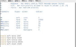 如何在CentOS上安装Oracle 11g？