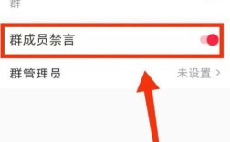 小红书群聊中如何解除禁言功能？